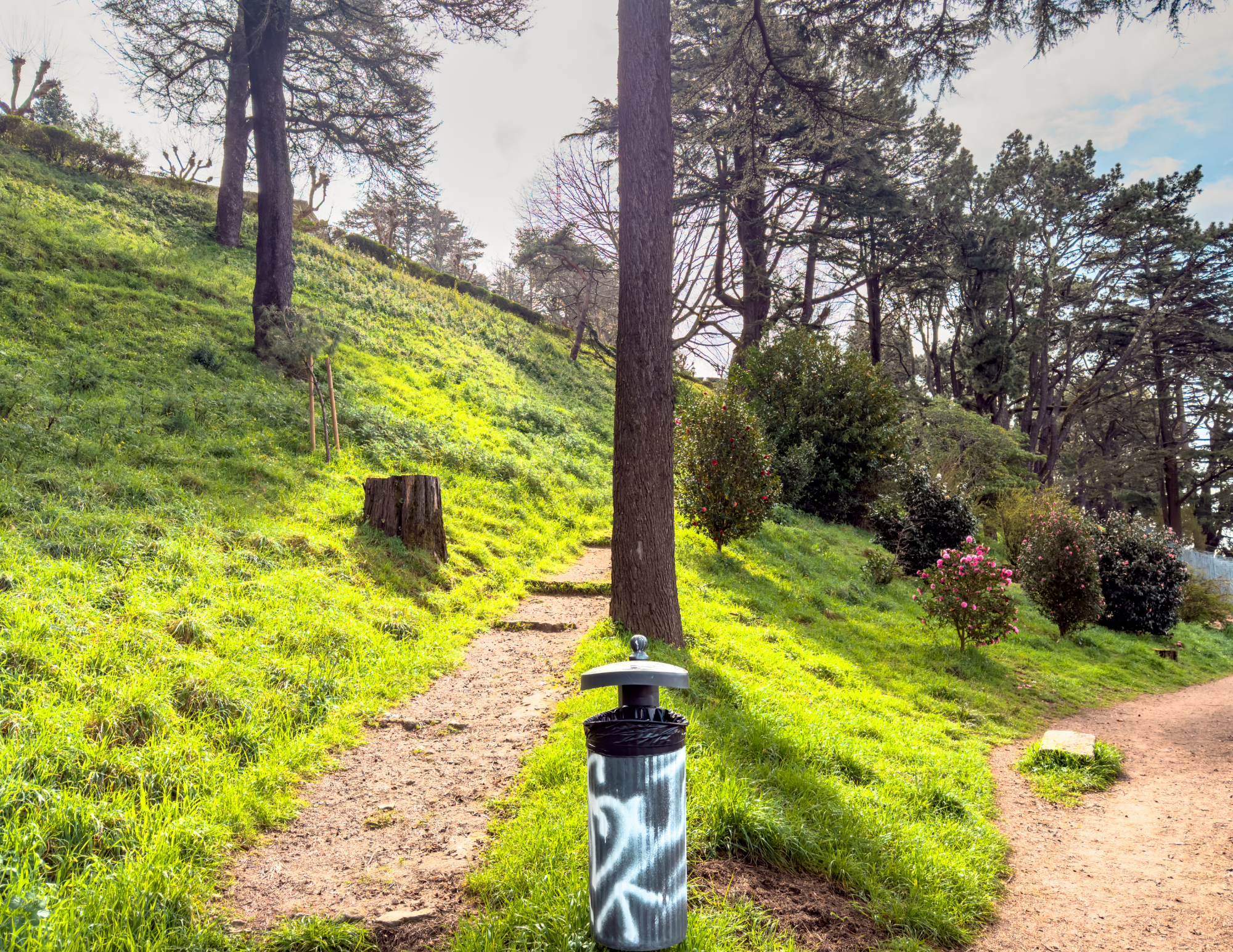 Vigo Travel Guide (12).png